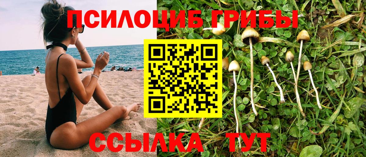Уссурийск  Псилоцибиновые грибы мицелий  Вход с VPN  Псилоцибиновые грибы ЛСД 